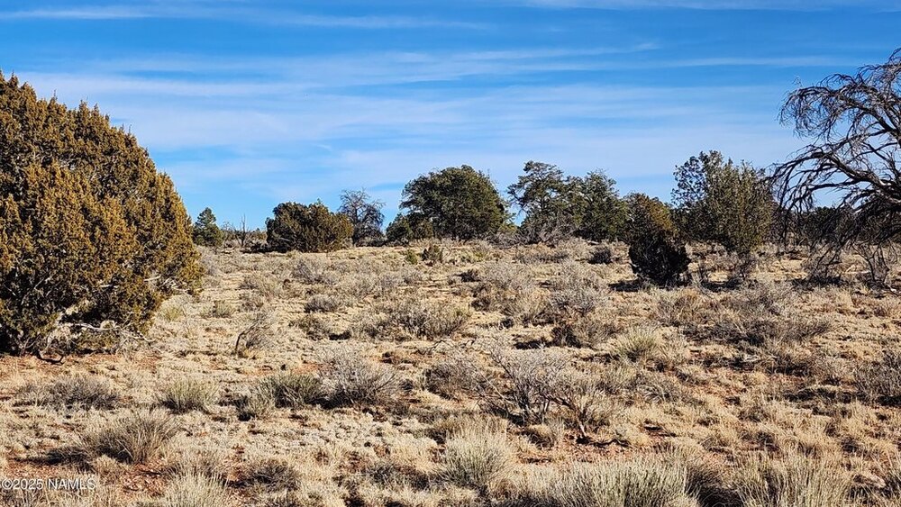 Photo of Mobile Home Lot