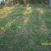 Photo of Mobile Home Lot