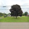 Mobile Home for Sale: 3 Bed 2 Bath Mobile Home
