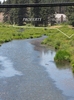RIVERSIDE2 copy.jpg