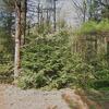 Mobile Home for Sale: 1992 Mobile Home