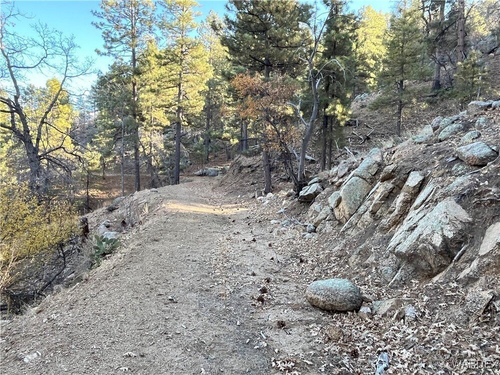 Photo of Mobile Home Lot