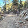 Photo of Mobile Home Lot