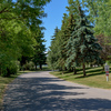 Community Image