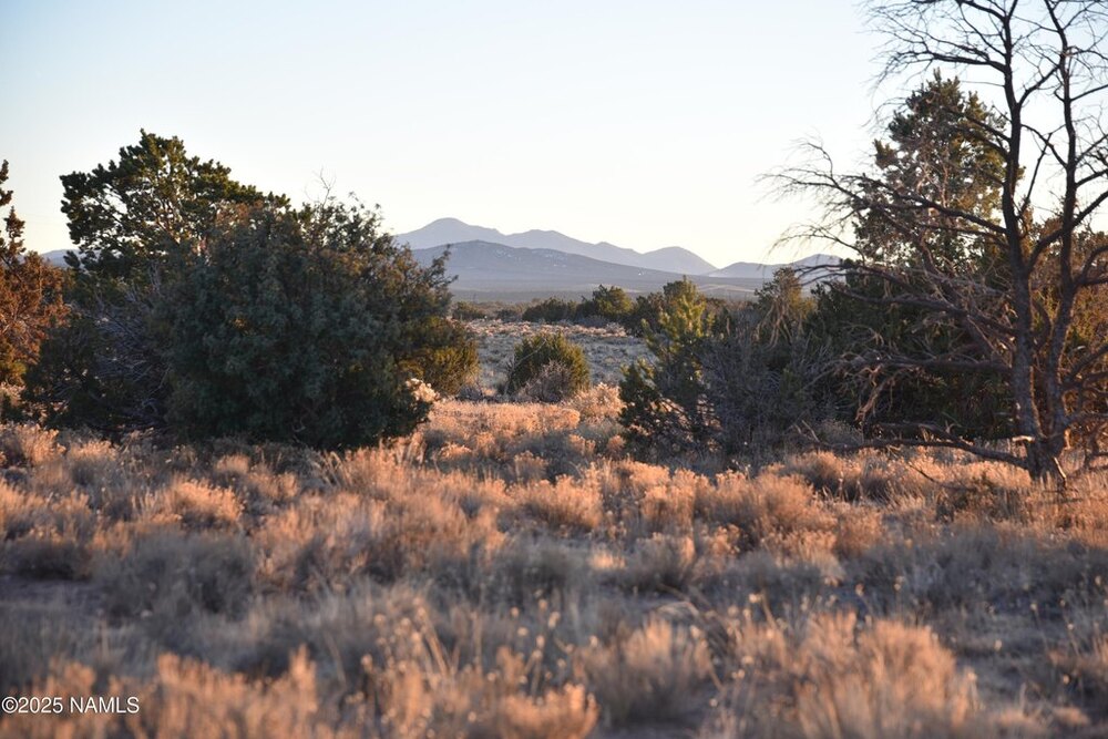 Photo of Mobile Home Lot