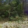 Mobile Home for Sale: 3 Bed 2 Bath 1999 Mobile Home