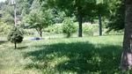 Photo of Mobile Home Lot