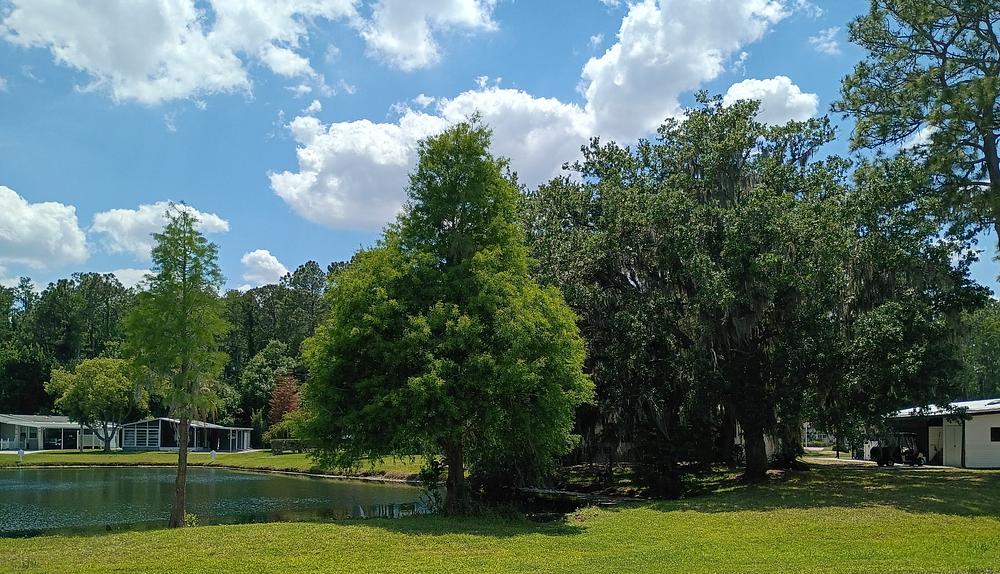 Cypress Lakes Village