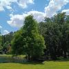 Cypress Lakes Village