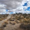 Photo of Mobile Home Lot