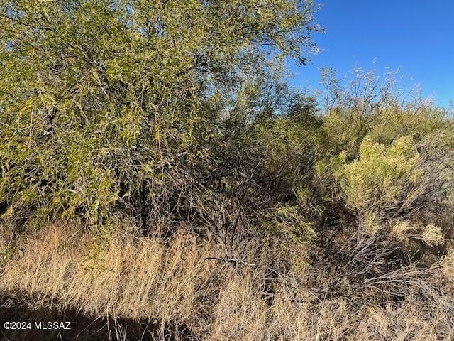 Photo of Mobile Home Lot