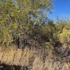 Mobile Home Lot for Sale: Manufactured Home - Benson, AZ, Benson, AZ