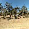 Mobile Home for Sale: 2 Bed 2 Bath 1980 Mobile Home