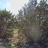 Mobile Home for Sale: 2005 Mobile Home