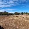 Photo of Mobile Home Lot