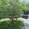 Mobile Home for Sale: 2001 Mobile Home