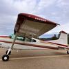 Aircraft for Sale: 1973 Cessna A185F Skywagon II