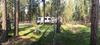 RV lot viewed from my home