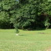 Photo of Land Lease Community