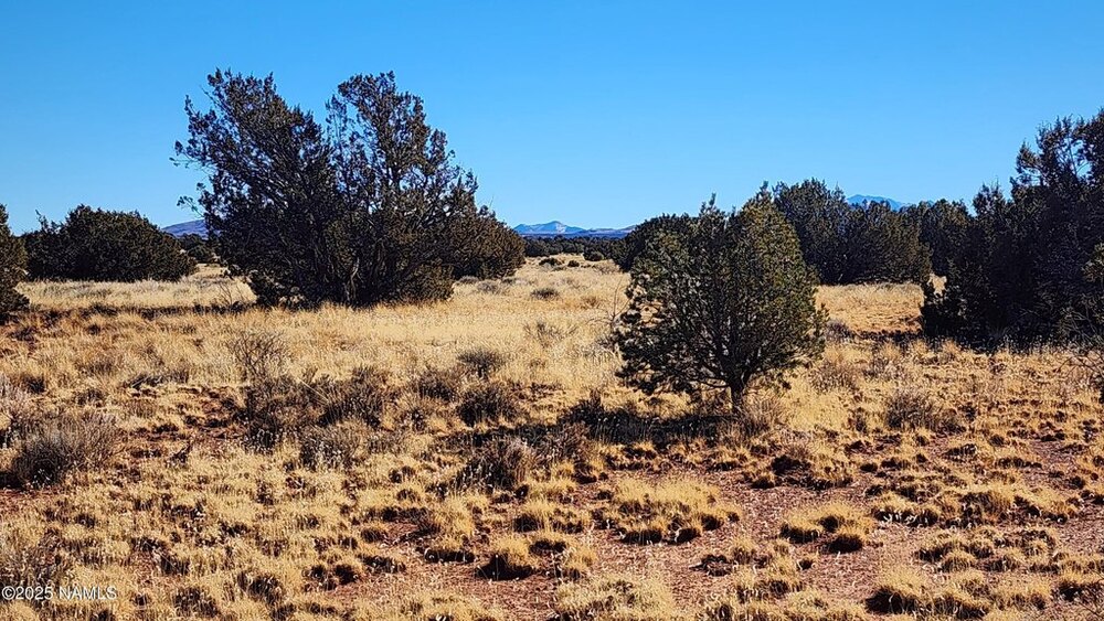Photo of Mobile Home Lot