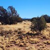 Photo of Mobile Home Lot