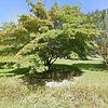 Mobile Home for Sale: 2 Bed 2 Bath 1984 Mobile Home
