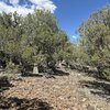 Photo of Mobile Home Lot