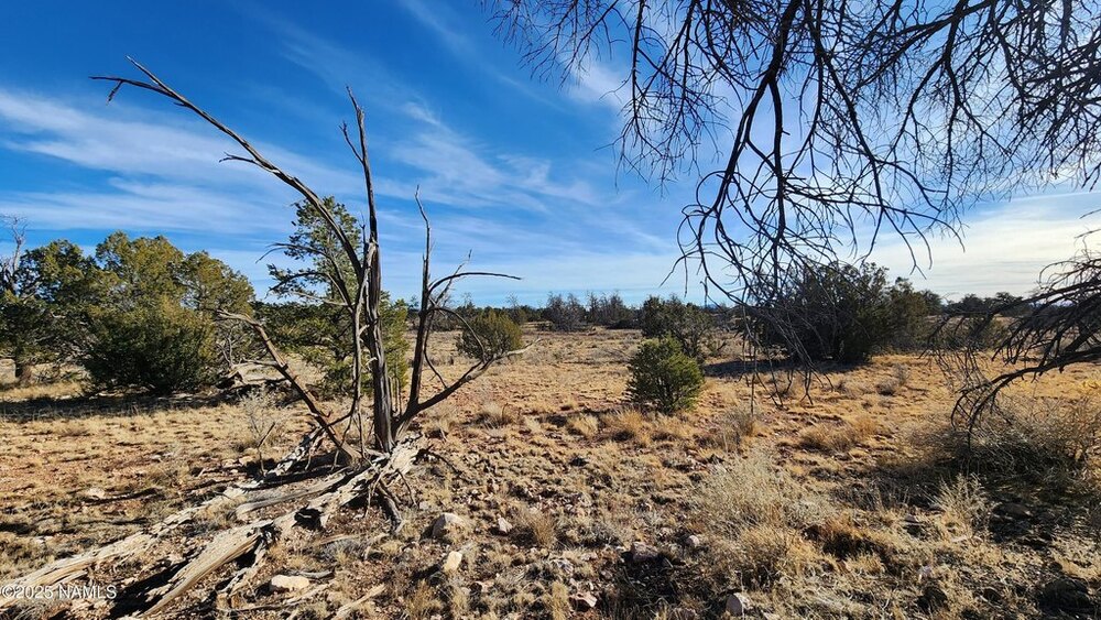 Photo of Mobile Home Lot