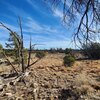 Photo of Mobile Home Lot