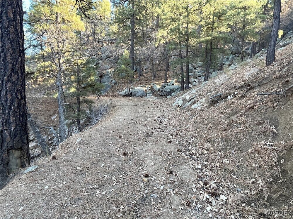 Photo of Mobile Home Lot