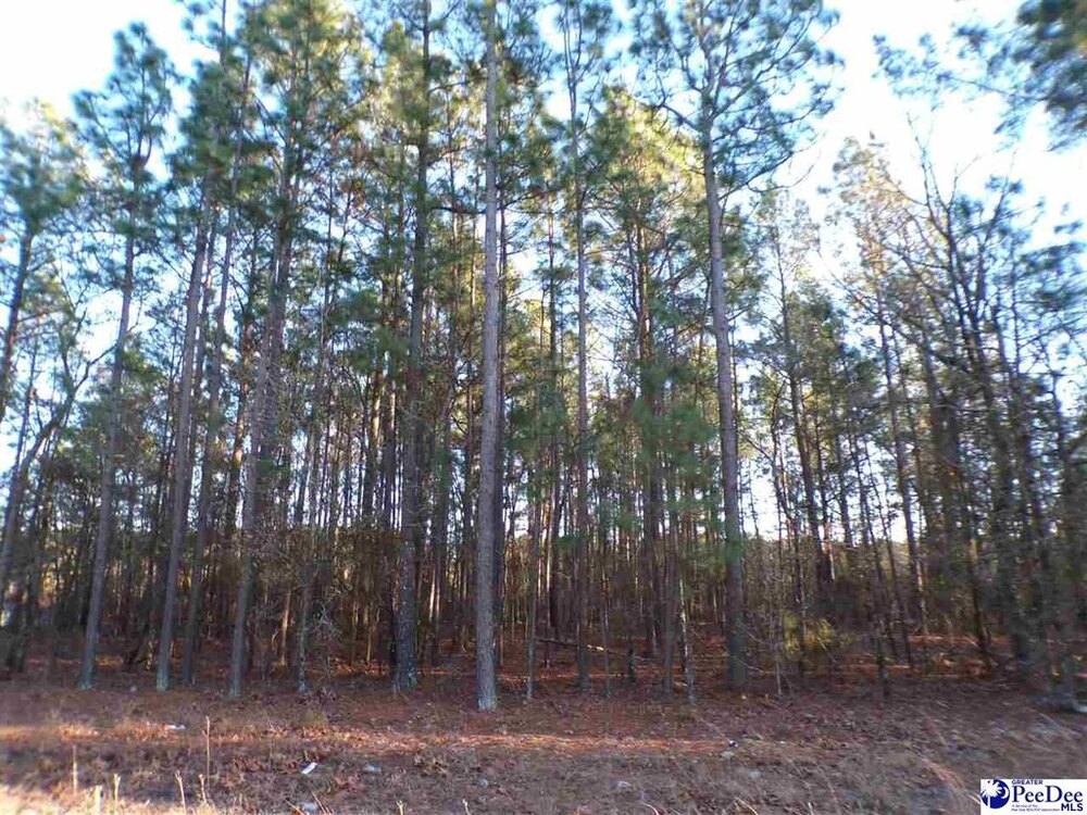 Photo of Mobile Home Lot