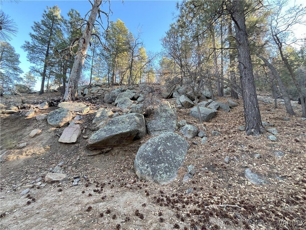 Photo of Mobile Home Lot