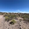 Photo of Mobile Home Lot
