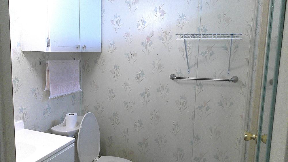 Lake Griffin Harbor Village