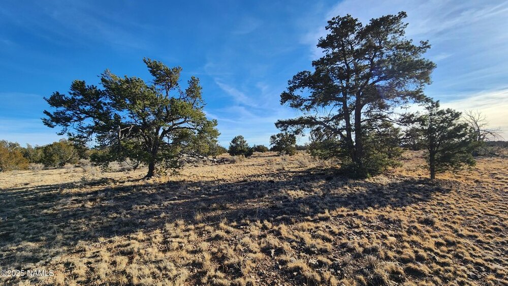 Photo of Mobile Home Lot
