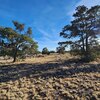 Photo of Mobile Home Lot