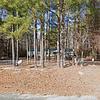 Mobile Home for Sale: 4 Bed 3 Bath 2003 Mobile Home