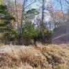 Mobile Home for Sale: Mobile Home