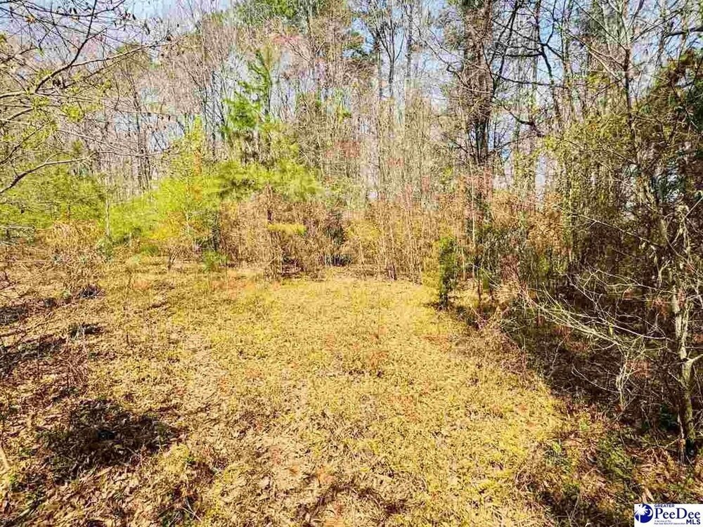 Photo of Mobile Home Lot