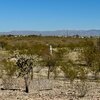 Photo of Mobile Home Lot