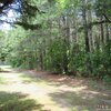 Photo of Mobile Home Lot