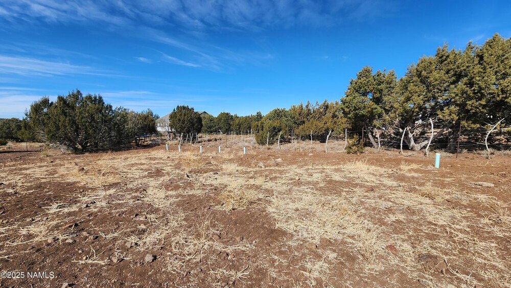 Photo of Mobile Home Lot
