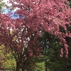 Photo of RV Park/Campground