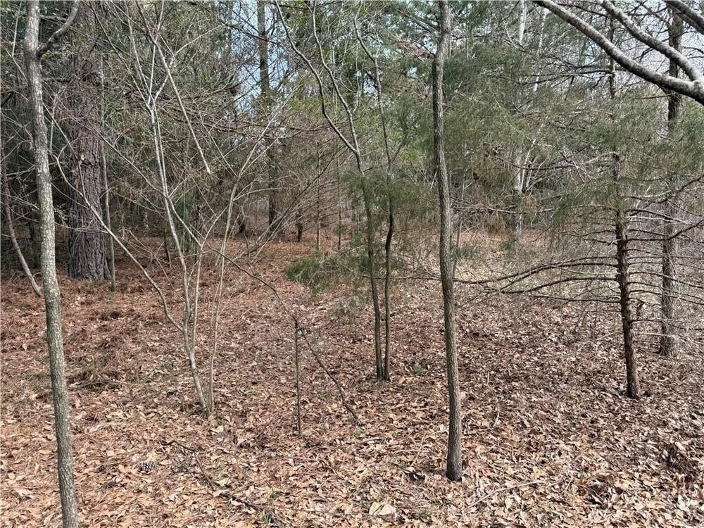 Photo of Mobile Home Lot