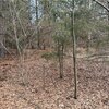 Photo of Mobile Home Lot