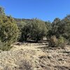 Photo of Mobile Home Lot