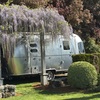 RV for Sale: 2022 Caravel 19CB