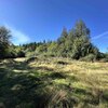 Mobile Home for Sale: Manufactured, Manuf/Mobile - Port Angeles, WA, Port Angeles, WA