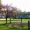 Mobile Home for Sale: 3 Bed 2 Bath 2005 Mobile Home