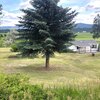 Mobile Home for Sale: Ranch, Manufactured Home - Eureka, MT, Eureka, MT